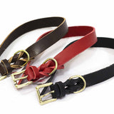 Collar de Cuero para perro Sin Costuras de Latón y de Color Rojo de 25mm