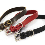 Collar de Cuero para Perro Sin Costuras de Níquel y de Color Rojo de 25mm