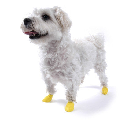 Botas protectoras para perros. Color Amarillo. XXS