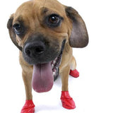 Botas protectoras para perros. Color Rojo. S