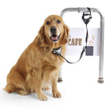 Collar - correa antirrobo para perros Safe Spot