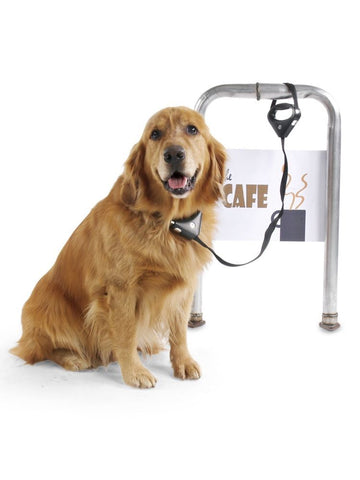 Collar - correa antirrobo para perros Safe Spot