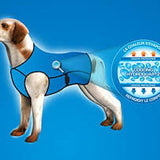 Chaleco Refrescante para perros Aqua Coolkeeper.