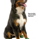 Botas protectoras para perros. Color Verde Oscuro. XL