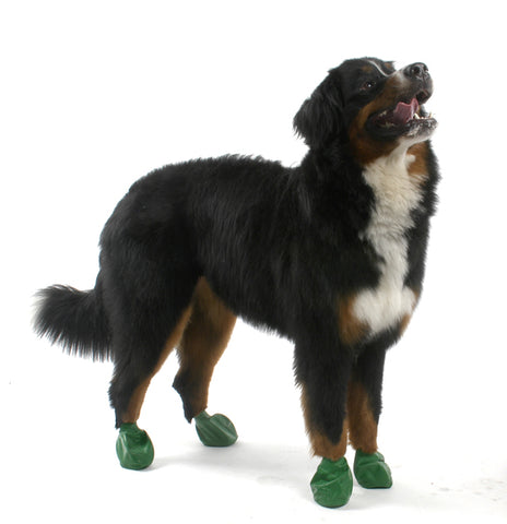 Botas protectoras para perros. Color Verde Oscuro. XL